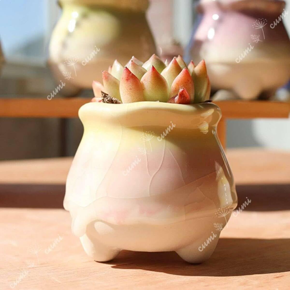 Amazon.co.jp: N0345 韓国 2号 6個セット雫シリーズ H かわいい 窯変